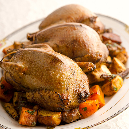 Свободно отгледан гълъб от Les Landes