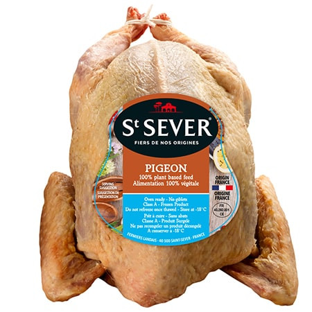 Свободно отгледан гълъб от Les Landes