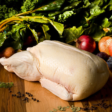 Свободно отгледана женска патица от Les Landes